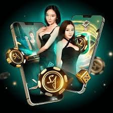 Mobile user and Brand 